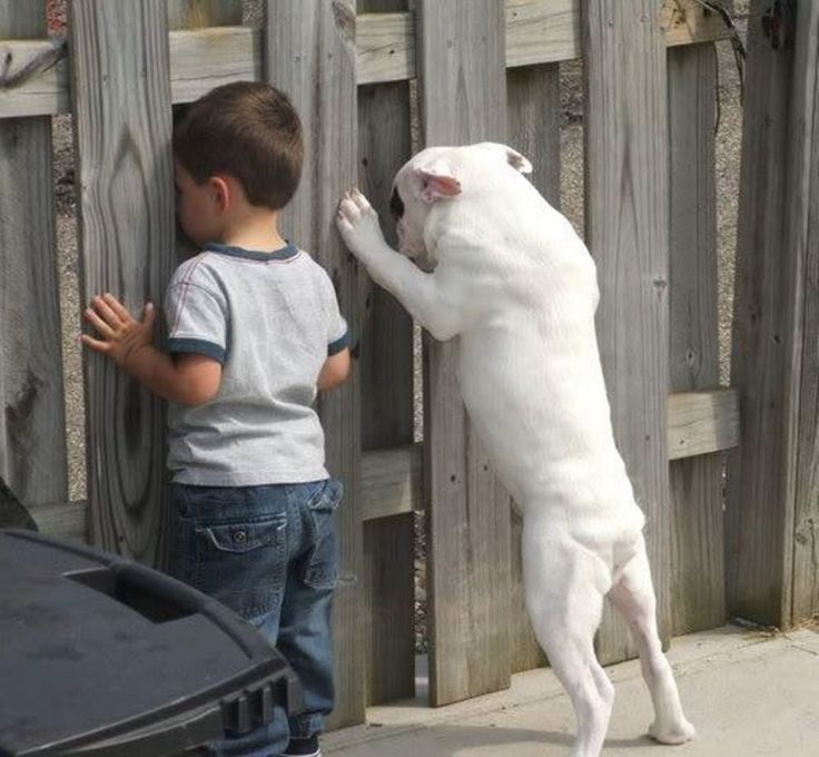 Chrisjoines1 Blank Meme Template