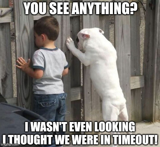 You See Anything? I Wasn't Even Looking I Thought We Were In Timeout! | YOU SEE ANYTHING? I WASN'T EVEN LOOKING I THOUGHT WE WERE IN TIMEOUT! | image tagged in chrisjoines1 | made w/ Imgflip meme maker