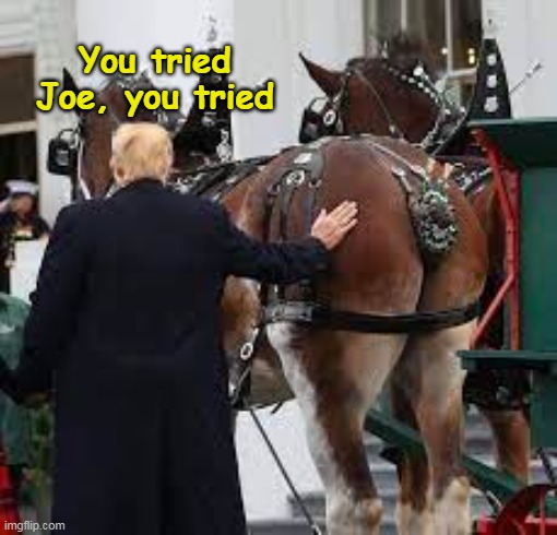 You tried Joe, you tried | made w/ Imgflip meme maker