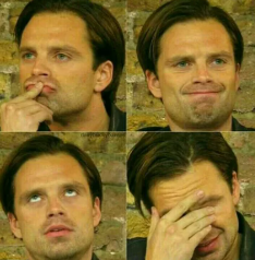 High Quality Sebastian Stan Blank Meme Template