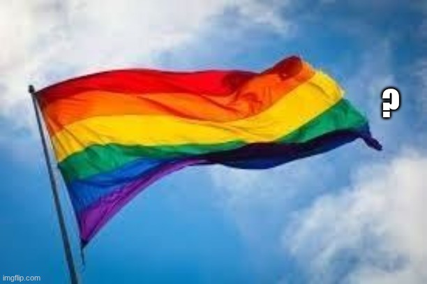 Rainbow flag | ? | image tagged in rainbow flag | made w/ Imgflip meme maker