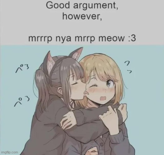 nice argument, however, mrrp nya mrrp meow :3 | image tagged in nice argument however mrrp nya mrrp meow 3 | made w/ Imgflip meme maker