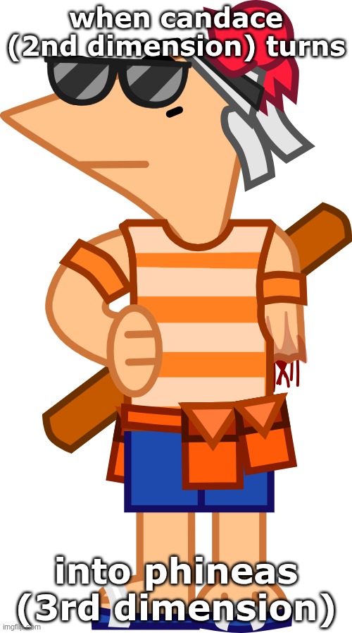 meme #15 | when candace (2nd dimension) turns; into phineas (3rd dimension) | image tagged in phineas and ferb | made w/ Imgflip meme maker