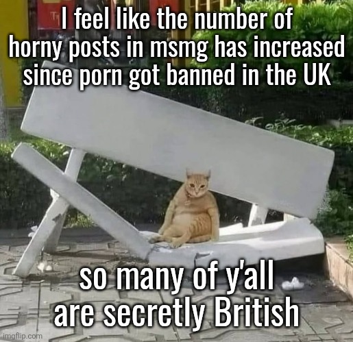 cat on broken bench | I feel like the number of horny posts in msmg has increased since porn got banned in the UK; so many of y'all are secretly British | image tagged in cat on broken bench | made w/ Imgflip meme maker