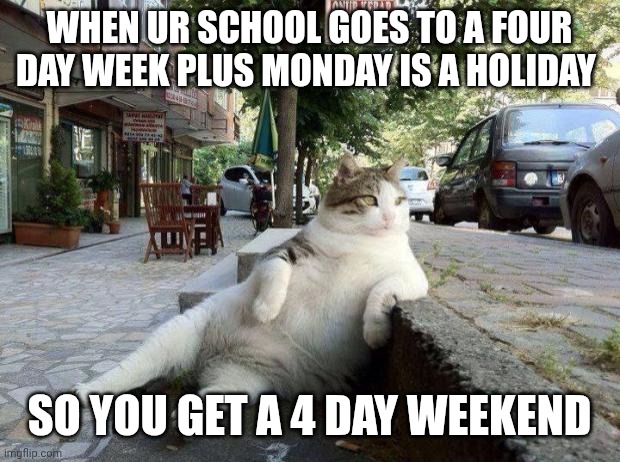 I'm just cool like that | WHEN UR SCHOOL GOES TO A FOUR DAY WEEK PLUS MONDAY IS A HOLIDAY; SO YOU GET A 4 DAY WEEKEND | image tagged in cat relax | made w/ Imgflip meme maker