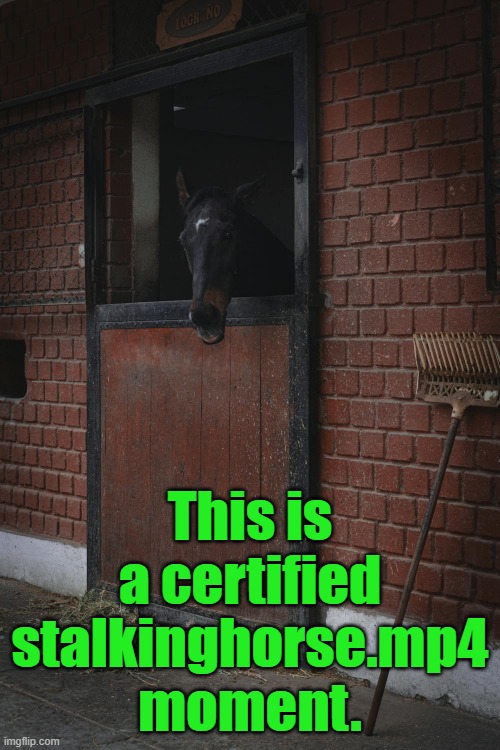 This is a certified stalkinghorse.mp4 moment. | made w/ Imgflip meme maker