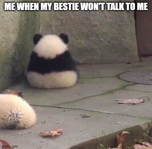 i miss my bestie smmmm anyway pls sub to xxmemegamerxx | ME WHEN MY BESTIE WON'T TALK TO ME | image tagged in panda sitting,bestie,funny,animal,relatable,lol | made w/ Imgflip meme maker
