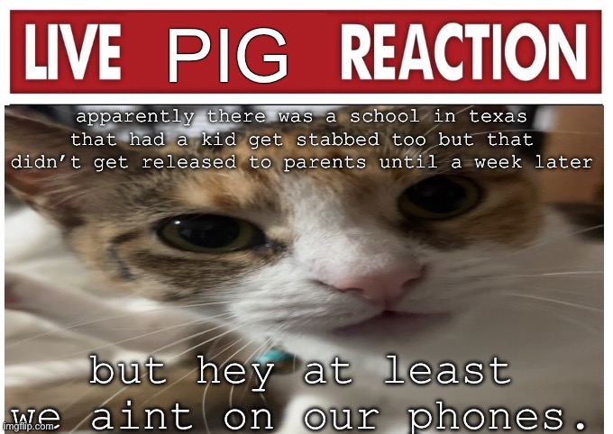 woah | apparently there was a school in texas that had a kid get stabbed too but that didn’t get released to parents until a week later; but hey at least we aint on our phones. | image tagged in woah | made w/ Imgflip meme maker