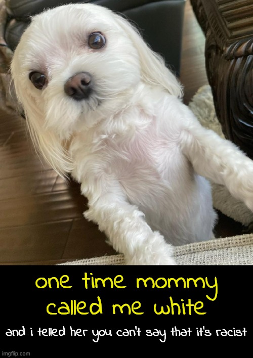 and i telled her you can't say that it's racist one time mommy called me white | made w/ Imgflip meme maker