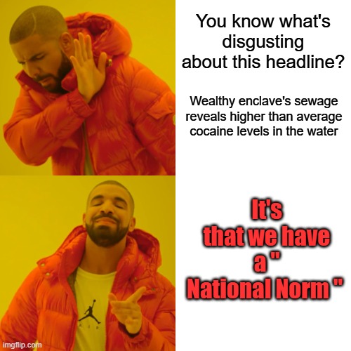 " National Norm" disgusting | You know what's disgusting about this headline? Wealthy enclave's sewage reveals higher than average cocaine levels in the water; It's that we have a " National Norm " | image tagged in memes,drake hotline bling | made w/ Imgflip meme maker