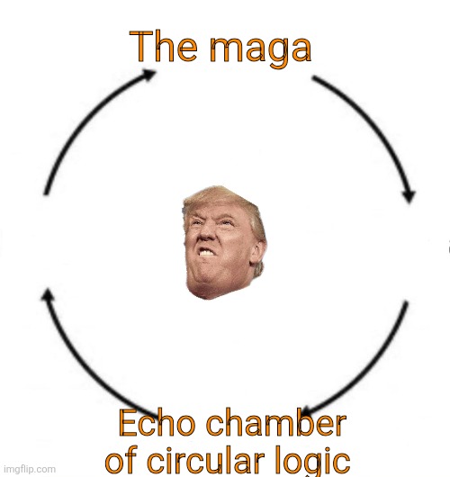 circular logic | The maga Echo chamber of circular logic | image tagged in circular logic | made w/ Imgflip meme maker