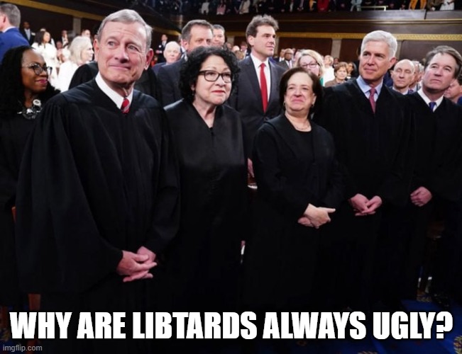 Supremely Ugly. | WHY ARE LIBTARDS ALWAYS UGLY? | image tagged in pick the ugly ones | made w/ Imgflip meme maker
