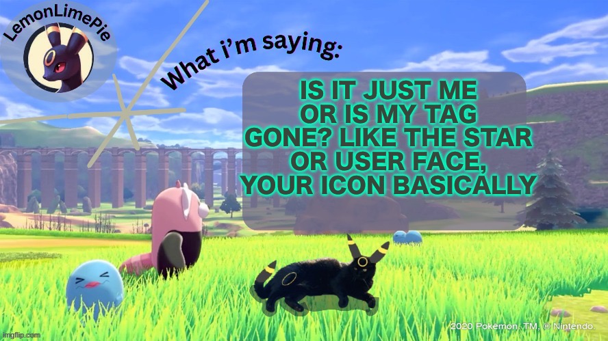 Tried changing my tag back to the paw uh it gone now | IS IT JUST ME OR IS MY TAG GONE? LIKE THE STAR OR USER FACE, YOUR ICON BASICALLY | image tagged in lemonlimepie | made w/ Imgflip meme maker