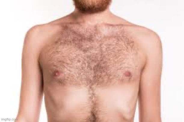 bare chest | image tagged in bare chest | made w/ Imgflip meme maker