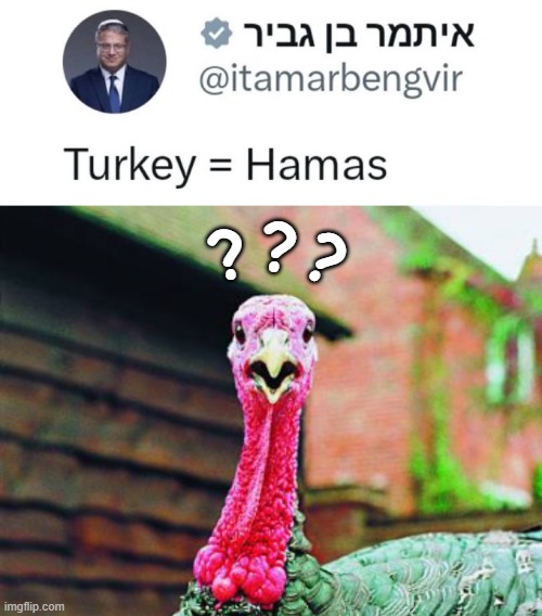 Hamas??? | ? ? ? | image tagged in hamas | made w/ Imgflip meme maker