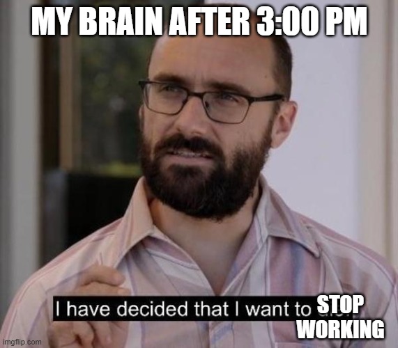 I have decided that I want to die | MY BRAIN AFTER 3:00 PM; STOP WORKING | image tagged in i have decided that i want to die,brain | made w/ Imgflip meme maker