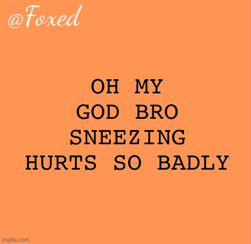 ITS LIKE A GOD DAMN BULLET | OH MY GOD BRO SNEEZING HURTS SO BADLY | image tagged in foxed orange temp | made w/ Imgflip meme maker