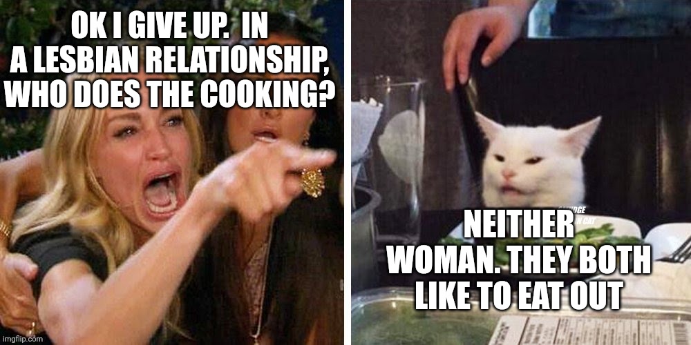 Smudge that darn cat with Karen | OK I GIVE UP.  IN A LESBIAN RELATIONSHIP, WHO DOES THE COOKING? NEITHER WOMAN. THEY BOTH LIKE TO EAT OUT | image tagged in smudge that darn cat with karen | made w/ Imgflip meme maker