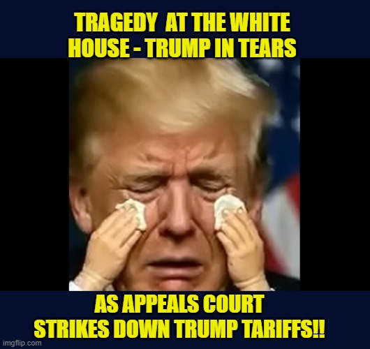 BREAKING: Trump inconsolable as his beautiful Tariffs are ripped away - OH THE HUMANITY !!! | TRAGEDY  AT THE WHITE HOUSE - TRUMP IN TEARS; AS APPEALS COURT STRIKES DOWN TRUMP TARIFFS!! | image tagged in impeach trump,donald trump memes,government corruption,trump is a moron,tariffs | made w/ Imgflip meme maker