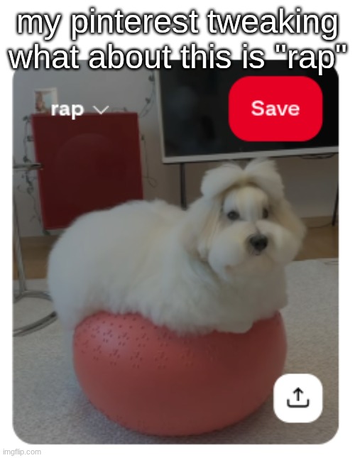 my pinterest tweaking what about this is "rap" | made w/ Imgflip meme maker