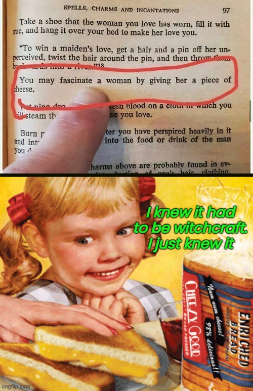 If a guy gives you cheese, throw it right back at him! | I knew it had to be witchcraft. I just knew it | image tagged in funny memes,weird stuff,witchcraft | made w/ Imgflip meme maker