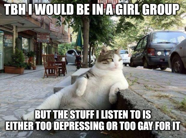 I think this is because I watched that Netflix band show | TBH I WOULD BE IN A GIRL GROUP; BUT THE STUFF I LISTEN TO IS EITHER TOO DEPRESSING OR TOO GAY FOR IT | image tagged in cat relax | made w/ Imgflip meme maker