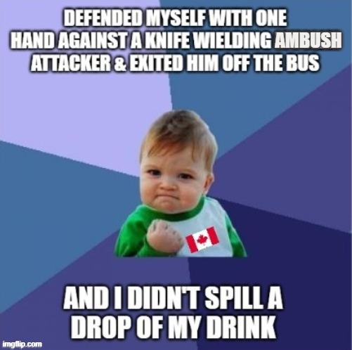 AN ALL STAR CANADIAN DEFENSEMAN | AMBUSH | made w/ Imgflip meme maker
