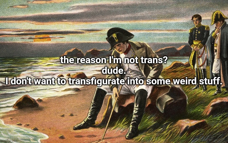 not like it's easy and painless to transfigurate into a thing like you might become some evil stuff too not guranteed | the reason I'm not trans?
dude.
I don't want to transfigurate into some weird stuff. | image tagged in napoleon | made w/ Imgflip meme maker