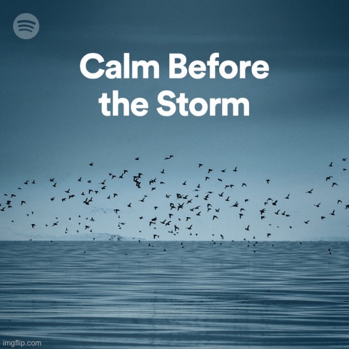 Calm before the Storm | image tagged in calm before the storm | made w/ Imgflip meme maker