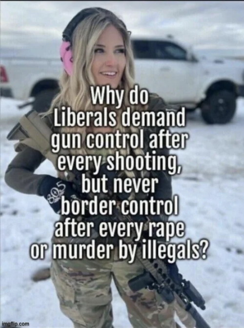 Liberal hypocrisy | image tagged in liberal hypocrisy,political,reposts | made w/ Imgflip meme maker