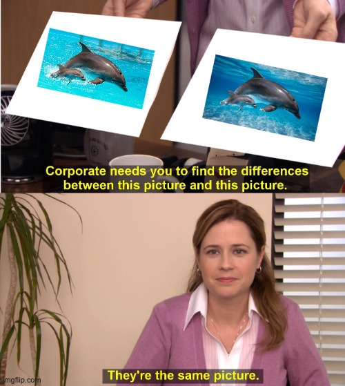 Then why did they edit the second image like that? | image tagged in memes,they're the same picture,dolphins,edited images,mom and baby | made w/ Imgflip meme maker