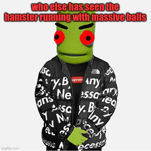 EVIL epilektoi drip | who else has seen the hamster running with massive balls | image tagged in evil epilektoi drip | made w/ Imgflip meme maker