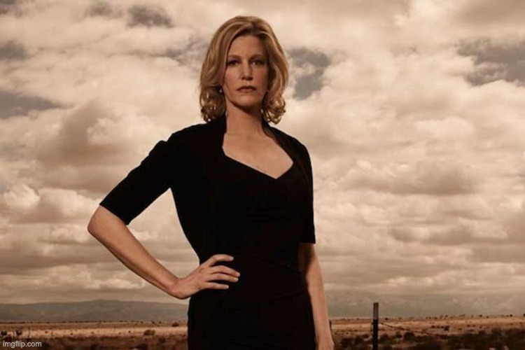 Skyler White | image tagged in skyler white | made w/ Imgflip meme maker
