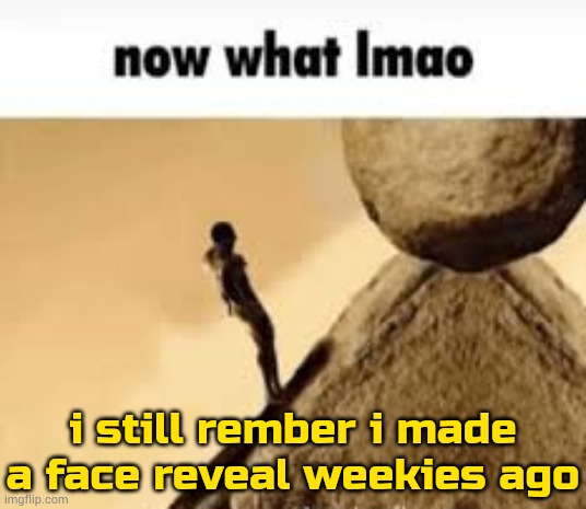 on face reval time boi | i still rember i made a face reveal weekies ago | image tagged in now what lmao | made w/ Imgflip meme maker