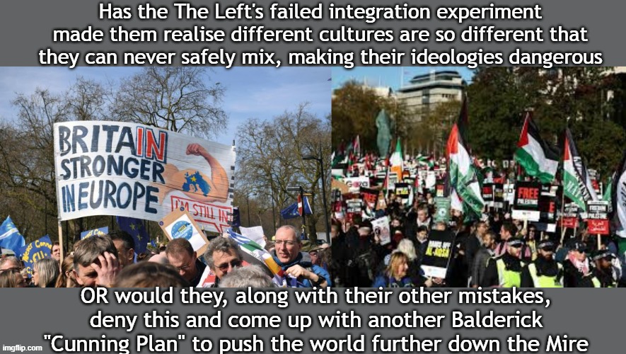 The Madness of The Left | Has the The Left's failed integration experiment made them realise different cultures are so different that they can never safely mix, making their ideologies dangerous; OR would they, along with their other mistakes, deny this and come up with another Balderick "Cunning Plan" to push the world further down the Mire | image tagged in protests,immigration | made w/ Imgflip meme maker