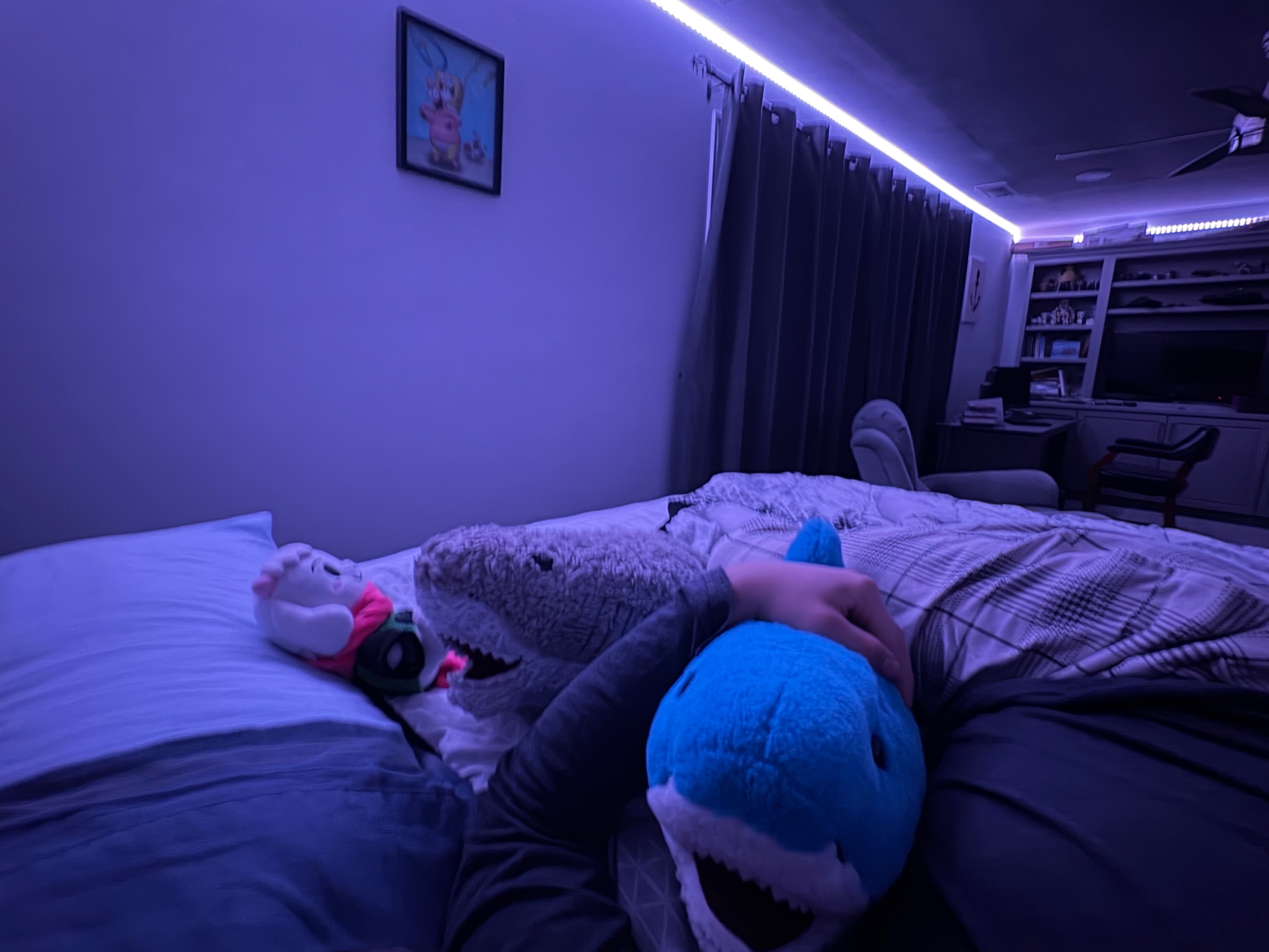 GRAARGGDGSGGdbdbbnsnw i fucking love my plushies | made w/ Imgflip meme maker