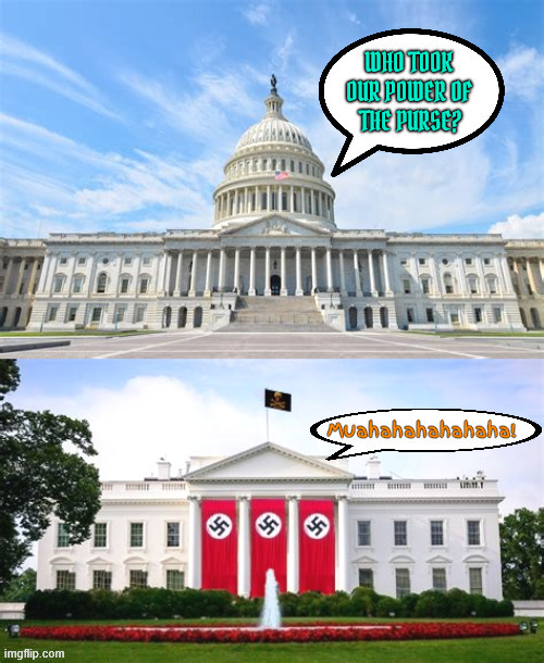 Who took my purse? | image tagged in who took my purse,power of the purse,gop cowards,rubber stampers,putin's puppet puppets,maga monarchy | made w/ Imgflip meme maker