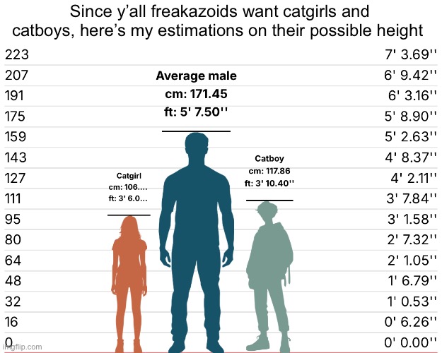 Since y’all freakazoids want catgirls and catboys, here’s my estimations on their possible height | image tagged in msmg | made w/ Imgflip meme maker