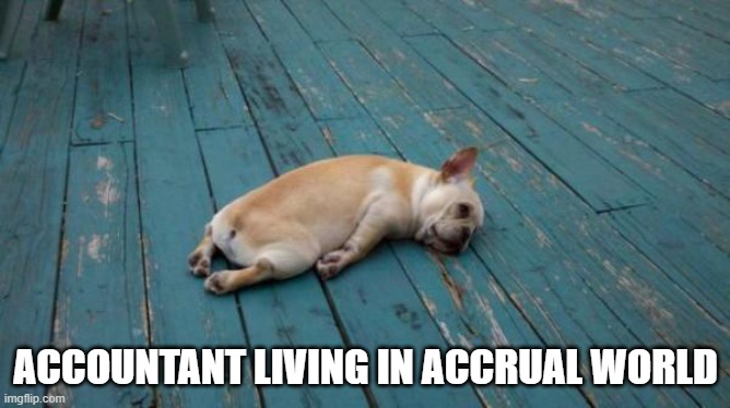 tired dog | ACCOUNTANT LIVING IN ACCRUAL WORLD | image tagged in tired dog | made w/ Imgflip meme maker