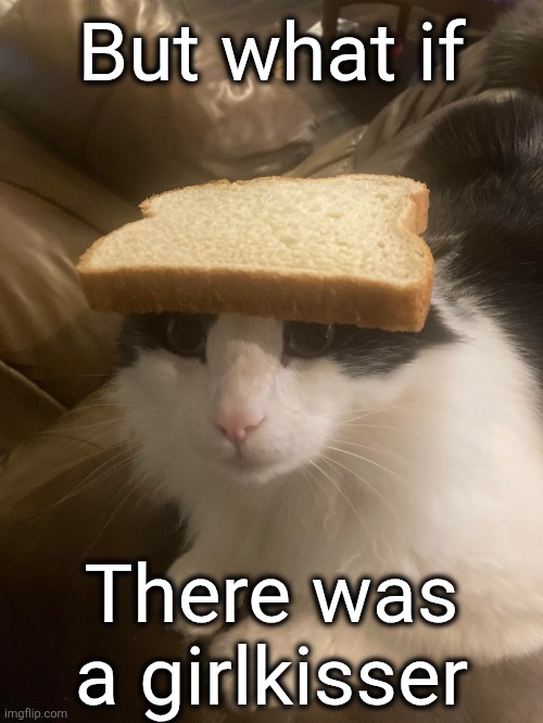 bread cat | But what if There was a girlkisser | image tagged in bread cat | made w/ Imgflip meme maker