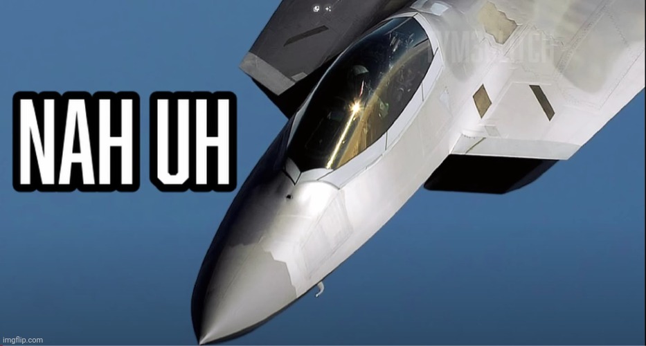 F-22 Raptor "Nah uh" | image tagged in f-22 raptor nah uh | made w/ Imgflip meme maker