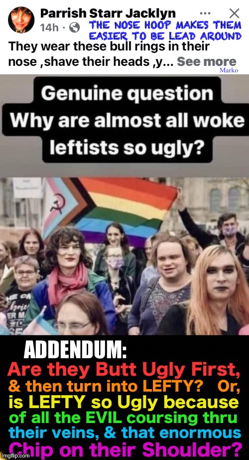 Not just Outside. The INSIDE is what’s revealed on the Outside | THE NOSE HOOP MAKES THEM
EASIER TO BE LEAD AROUND; Marko | image tagged in memes,no amount of makeup helps,perverse evil is undeniable,lefty is the ugliest soul,serving their daddy satan | made w/ Imgflip meme maker