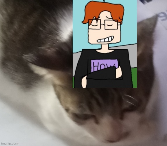 Ming mong | image tagged in ming mong | made w/ Imgflip meme maker