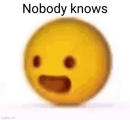 happy emoji | Nobody knows | image tagged in happy emoji | made w/ Imgflip meme maker