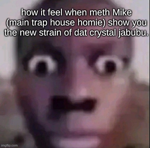wide eyes | how it feel when meth Mike (main trap house homie) show you the new strain of dat crystal jabubu. | image tagged in wide eyes | made w/ Imgflip meme maker