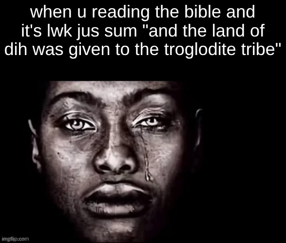 I was in the old testament. it started out really good but this part made me quit. ion believe in god | when u reading the bible and it's lwk jus sum "and the land of dih was given to the troglodite tribe" | made w/ Imgflip meme maker