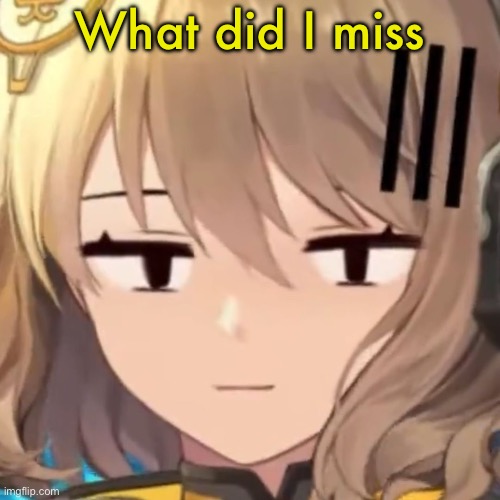 Anis | What did I miss | image tagged in anis | made w/ Imgflip meme maker