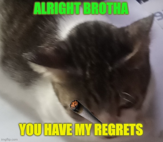 Ming mong | ALRIGHT BROTHA YOU HAVE MY REGRETS | image tagged in ming mong | made w/ Imgflip meme maker