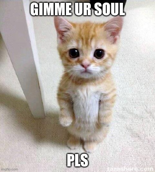 pls | GIMME UR SOUL; PLS | image tagged in memes,cute cat | made w/ Imgflip meme maker