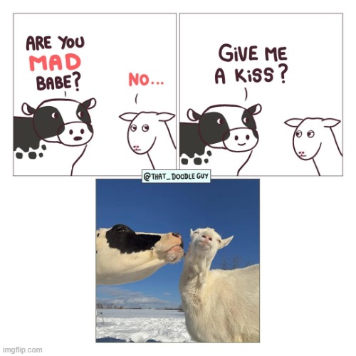image tagged in cow,goat,mad,no,kiss,nope | made w/ Imgflip meme maker